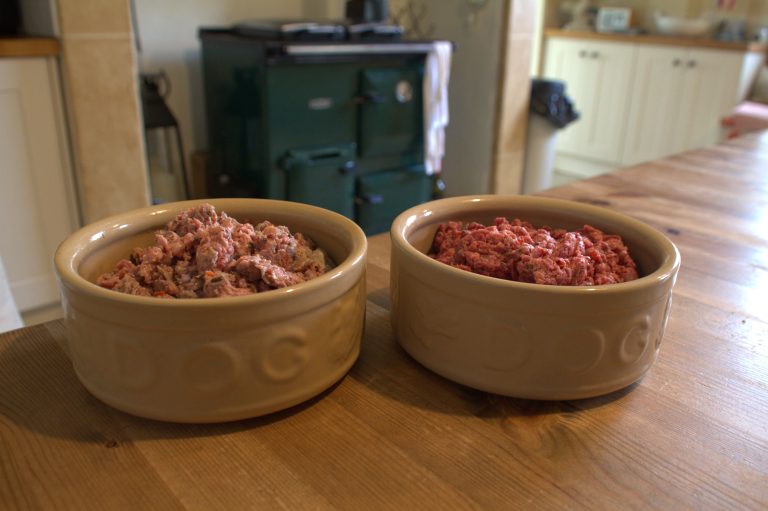 Two bowls filled with a portion of rude dog food