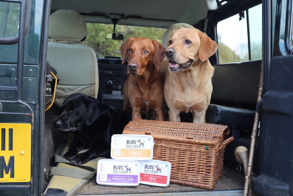 Three labradors with tubs of Rude Dog Food raw meals